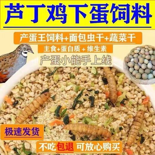 Rutin chicken special feed Rutin chicken egg production feed mealworm brooding feed quail feed high protein 5Jin Jin is equal to 0.5 kg egg production food containing mealworm dried vegetables