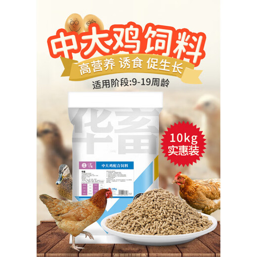 Hua livestock chicken feed large chicken pellet feed rutin egg chicken duck goose special chick open feed premix 1 bag