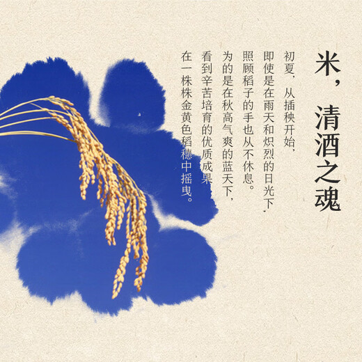 Hakutsuru raw and stored sake 300ml imported from Japan, early adopter version