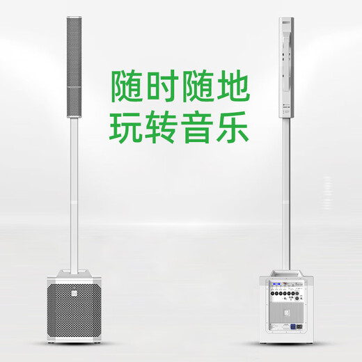 EV EVOLVE 30M portable Bluetooth column speaker outdoor sound reinforcement musical instrument playing guitar playing and singing active speaker EVOLVE 30M (black)