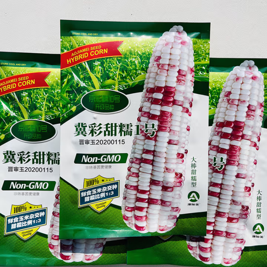 White, sweet and waxy corn seeds, high-yielding, sown in all seasons, white and waxy corn, non-transferable, national-approved, farmers’ super-sweet and waxy corn seeds, Jinuo 20 corn seeds, 100g, 1 bag