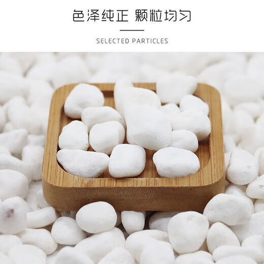 Runhua Nian micro landscape white pebbles Yuhua stone succulent plant paving stone fish tank flower pot decoration small stones 1Jin Jin equals 0.5 kg (9-12mm) white pebbles