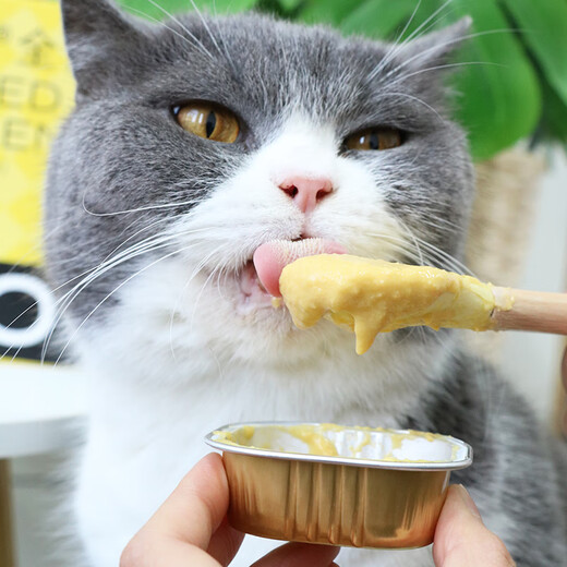 Gaoye's full-price cat staple food meal box for nutritional weight gain, canned cat wet food for adult and young cats, non-snacks 40g*6/box, chicken and goat milk formula, kitten milkshake 240g, 40gx6 cans/box