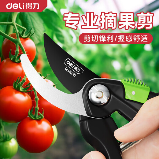 Deli branch pruning scissors, tomato flower gardening, special fruit picking scissors, garden pruners, fruit tree pruning scissors, 8-inch labor-saving model, free gloves + knife oil