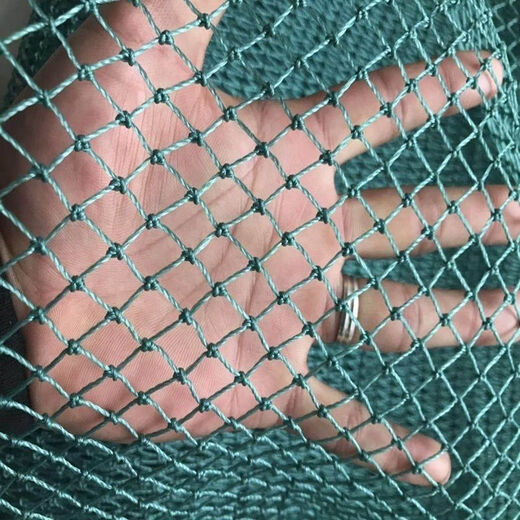 Chicken net, chicken net, fishing net, breeding net, fence net, nylon vegetable garden fence, climbing vine grid, chicken net, protective fish net, thickened 18 strands, 3 cm, thickened ribs, 1 meter high, 100 meters long