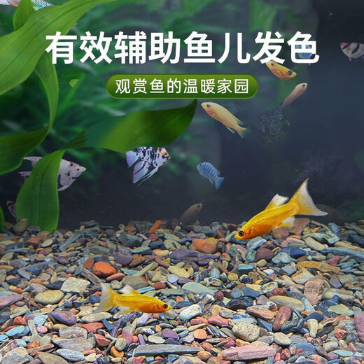 Stream stone ultra-fine bottom sand fish tank turtle tank bottom sand stream sand bottom stone fish tank landscaping stone native stone 1 to 3 cm 30-50 g