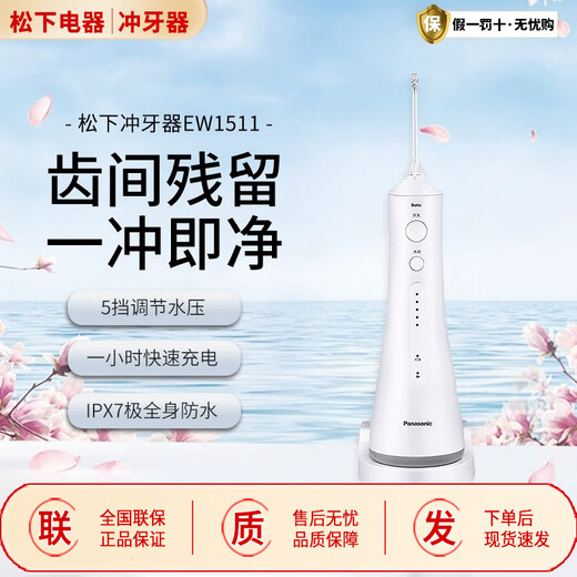 Panasonic electric dental rinser EW1511 bubble jet cleaner EW1513/23/33 dental scaler water flosser gum protector EW1523 green official new original