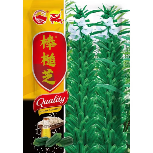 Black sesame seed oil extraction Academy of Agricultural Sciences hybrid high oil stable yield short stem eight-edge white sesame seed base special seed Henan black sesame seed 100 original 20g 1 bag