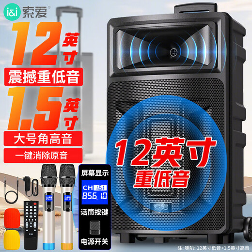 Sony Ericsson (soaiy) Q28V square dance sound card audio high-power subwoofer portable outdoor karaoke electric guitar instrument speaker Bluetooth rod microphone amplifier dual microphone