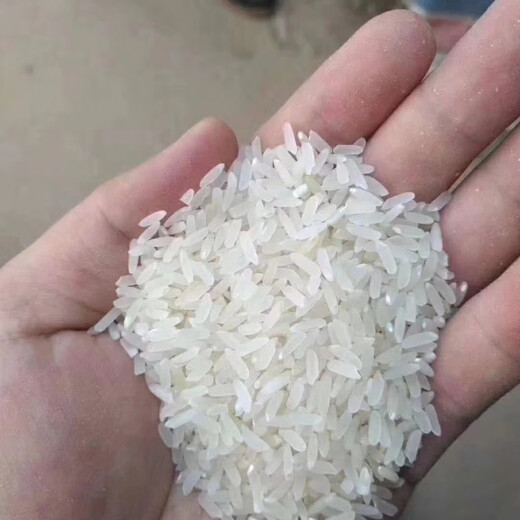 新种国审高产玮两优1206水稻水稻种子稻谷新品种抗倒抗病长粒 玮两优1206一袋【2500克】原装发 国审新种高产稻