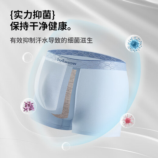 Cat men underwear men underwear men teen pure cotton 10A antibacterial boxer shorts 4 pairs of shorts 25 years