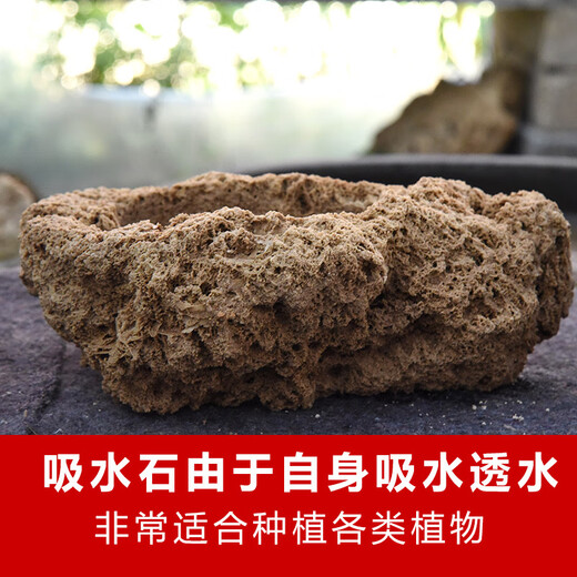 Stone flowerpot with water-absorbing stone, raw stone, natural flowerpot with asparagus, bamboo, calamus, succulents, micro-landscape pot, 13-17cm stone pot + round bottom bracket