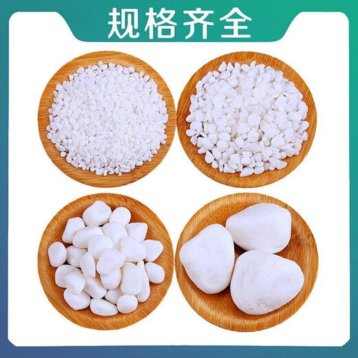 Runhuanian small white stone succulent paving stone flower cultivation pebbles rain flower stone fish tank landscaping basin fine full white stone 3-6mm 1Jin Jin is equal to 0.5 kg