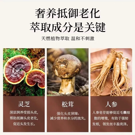 Lyu Zhenshen Revitalizing Royal Time Booster Special Pack (Shampoo 400ml + Conditioner 400ml) is on clearance.