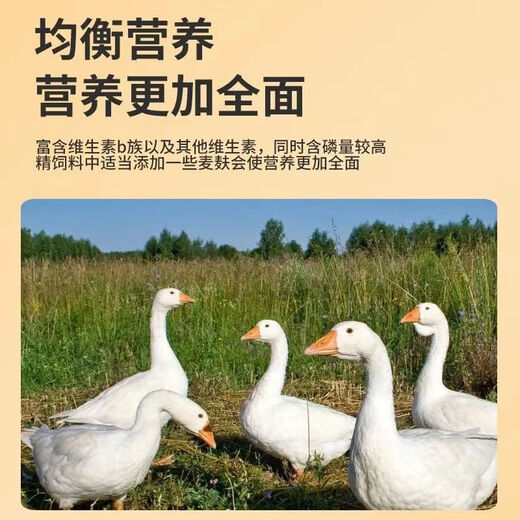 Wheat bran feed for chickens, ducks and worms, pigs eat hot compress bait, fish and make nests, raise mealworms, fresh pure bran, high-quality coarse wheat bran 10Jin Jin is equal to 0.5kg