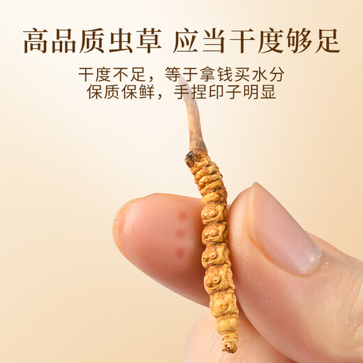 Wancao Kangren Cordyceps Dried Cordyceps Tibetan Cordyceps Gift Box Cordyceps 50 root gift box gift tonic gift for elders 3 root/g 20 bottle bottle. Take the photo to get 2 of the same style + 1 bag of wolfberry