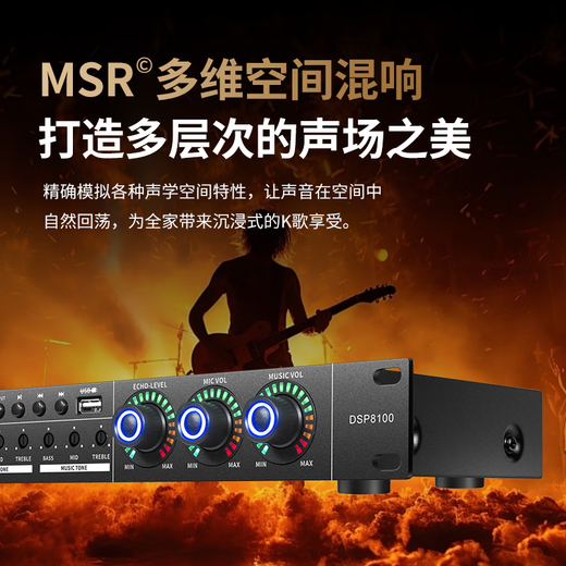 Melody DSP8100 professional audio pre-amp effector audio processor fever-grade karaoke microphone reverberation karaoke home anti-howling equalizer feedback suppressor DSP8100 exclusive version effector (including cable)