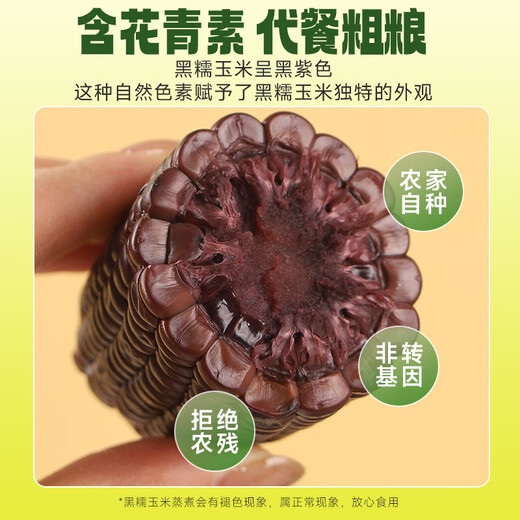 Jingxiansheng Shandong Black Corn 3.6Jin Jin equals 0.5kg (180g*10 corns) non-GMO vacuum packed low-fat breakfast straight from the source