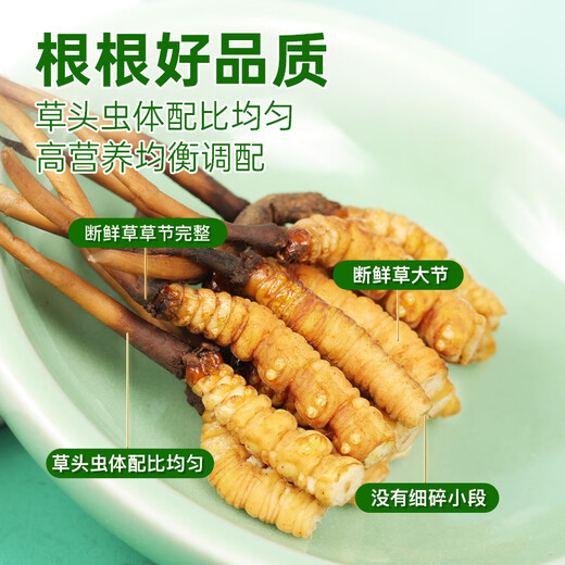 源江草【2025年鲜虫草】新鲜冬虫夏草 大号断虫草20克 源头直发冷运包邮
