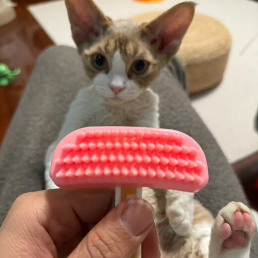 YWZR Devon cat comb special comb cat silicone comb to remove floating hair artifact massage comb cleaning brush pet supplies small size Devon cat silicone comb-Sakura powder