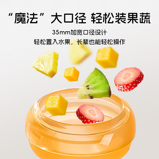 Qiaran Teether Baby Anti-eating Hands Small Month Baby Teething Stick Silicone Chewable Fruit Food Supplement Fun Growth Flower Teether - Lime Yellow Free Storage Box - Anti-chain