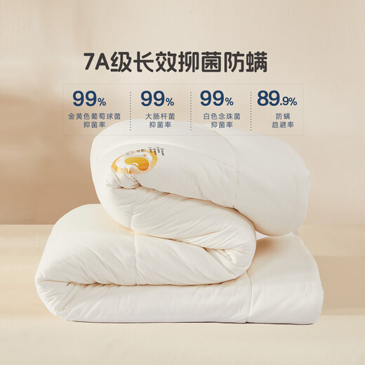 Mercury children's quilt maternal and infant type A soybean quilt 65% soy fiber quilt spring and autumn quilt core kindergarten 120*150cm about 1.6Jin Jin equals 0.5kg