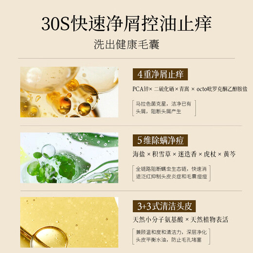 SACELLEC BEAUTE anti-degeneration ginger shampoo 400ml solid hair nourishing anti-dandruff anti-itch oil control fluffy shampoo for men and women