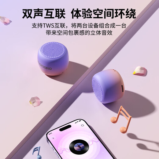 momoho 蓝牙小音响户外大音量迷你便携音箱可插卡小型跑步运动瑜伽白噪音学生学习随身听力播放器 【旗舰版】黑色 官方标配(音箱+挂绳）