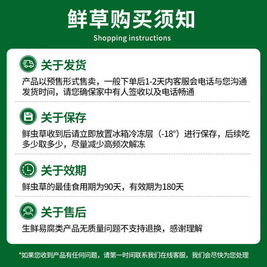 源江草【2025年鲜虫草】新鲜冬虫夏草 大号断虫草20克 源头直发冷运包邮