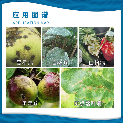 BASF Tribestrobin Apple Strawberry Powdery Mildew Spotted Leaf Disease Pear Tree Scab Pesticide Fungicide 5g