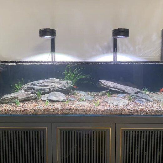 Pure natural stream stone fish tank landscaping stone flakes turtle basking back schist climbing pet rockery terrace landscaping stone 3Jin Jin is equal to 0.5kg 5-10cm schist size matching