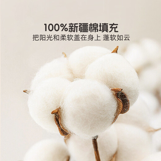 MERCURY Kids Kindergarten Universal Cotton Spring and Autumn Quilt 120cm 150cm Infant Category A