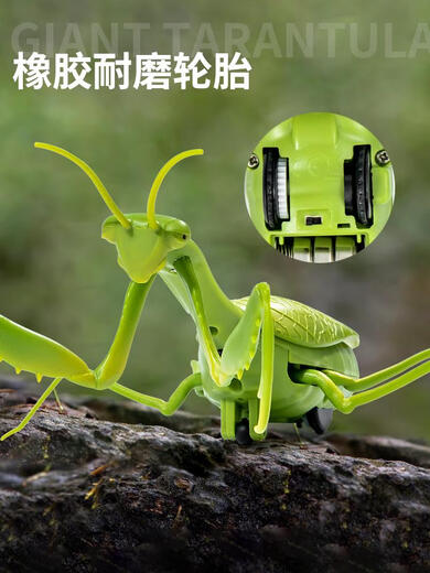 
Xiaoyan Remote Control Mantis Electric Simulation Toy Douyin Prank Artifact Cockroach Boys Moving Spider Crawling Small Animal Classic Version - Remote Control Ladybug Red Model 9922 Official Standard
