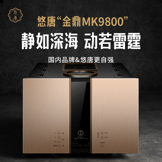 Youtang MK9800 Purer Verstärker der Heckverstärker Pure Class A vollständig ausgewogener reines DC-Amplifikation HiFi Fever-Level Brückenmono Home Home High-Power-Verstärker