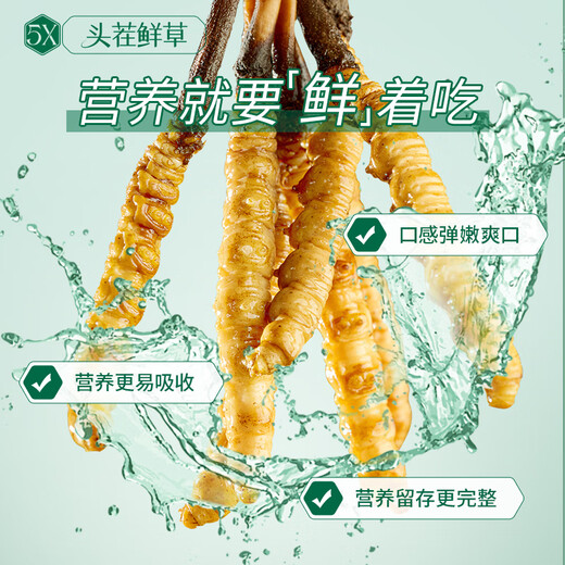 Ayishe first stubble fresh Cordyceps sinensis 0.5-0.6g/30 fresh Cordyceps supplements [Straight hair at the source]