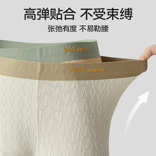 Catman Class A first-class product +10A antibacterial men's underwear, men's medical pure cotton high-end boxer briefs 25 years new product