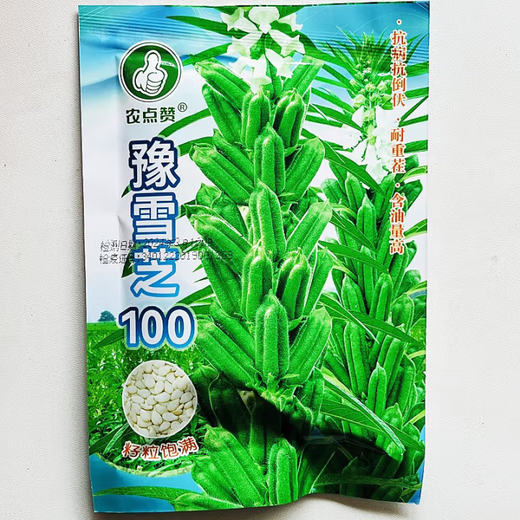 Black sesame seed oil extraction Academy of Agricultural Sciences hybrid high oil stable yield short stem eight-edge white sesame seed base special seed Henan black sesame seed 100 original 20g 1 bag