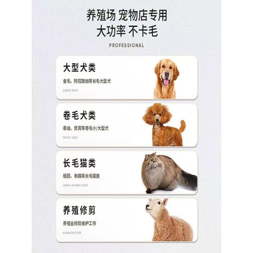 Ant dog shaver, pet electric clipper, cat Teddy, large dog high-power electric clipper for pet stores, special value model for large dogs