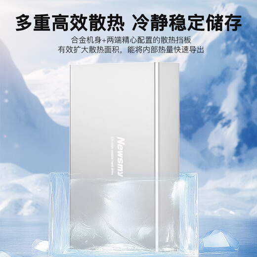 Newman (Newsmy) 4 TB mobile Festplatte, mechanischer 3,5-Zoll-Desktop-Speicher, Star-Serie, modische Version, Typ-C, USB 3.1, Space, silbernes Metallgehäuse, große Kapazität