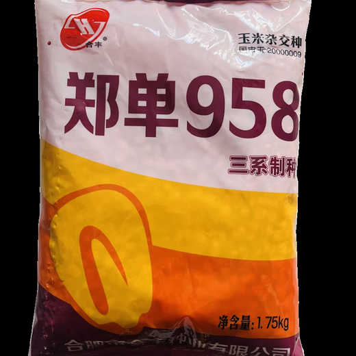 Zhengdan 958 national-approved corn variety corn seed high-yielding big stick corn seed Ludan 981 corn seed National-approved Zhengdan 958 corn seed original 3.5 Jin Jin equal to 0.5 kg 5 bags (buy more for cheaper)