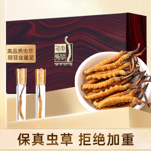 Banshan Farm Cordyceps sinensis 3-4 piezas/gramos 3 gramos 10 cajas de regalo para que los padres y los ancianos nutren y los regalos del Día del Padre de alta gama