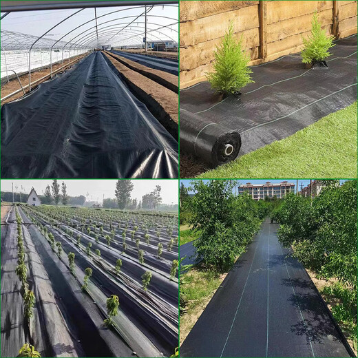 Agricultural grass-proof cloth, weeding cloth, agricultural ground cloth, fruit tree cover cloth, grass cover cloth, black mulch film, durable punched slices, anti-aging fruit tree special punched slices, slices 0.8*0.8 meters, 100 sheets, free closing nail