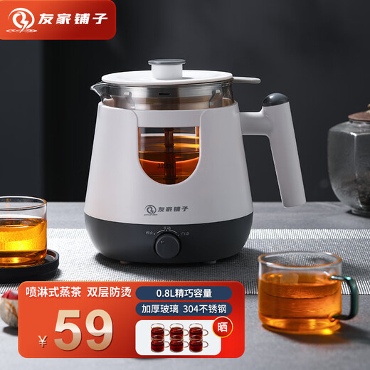 Biooner tea kettle, health kettle, spray type kettle, glass kettle, electric kettle, steaming tea kettle, tea steamer, flower tea kettle, white basic model 0.8L