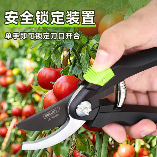 Deli branch pruning scissors, tomato flower gardening, special fruit picking scissors, garden pruners, fruit tree pruning scissors, 8-inch labor-saving model, free gloves + knife oil