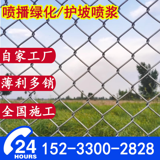 Galvanized chain link fence protective mesh orchard fence