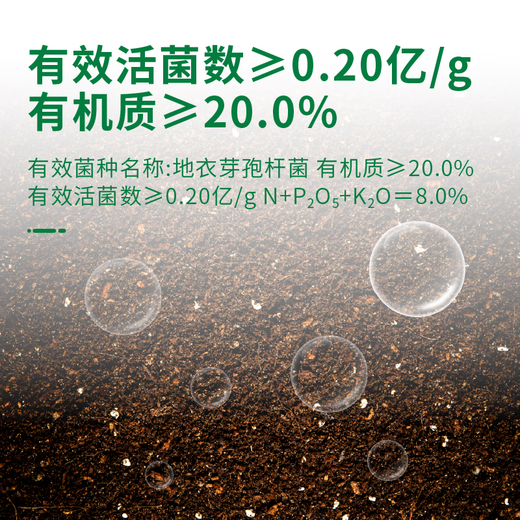 Guoguang Huierxiu lichen, Bacillus subtilis, flower seedlings, fruit trees, soil fertilization, beneficial bacteria microbial fertilizer