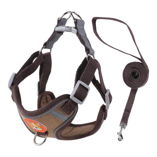 Pet harness reflective breathable suede dog rope dog leash vest style small dog harness harness orange L (recommended 14-20 Jin Jin equals 0.5 kg) deerskin velvet