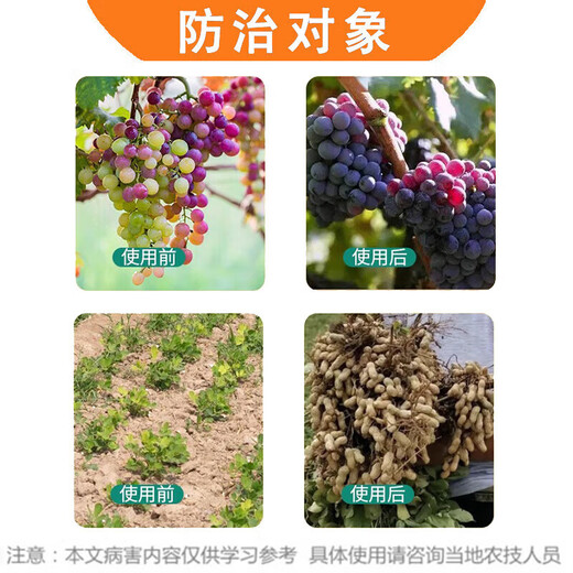 Guoguang 0.01% 24 epibrassinolide, flower-promoting and fruit-promoting antidote for rooting seedlings plant growth regulator 500ml*1 bottle