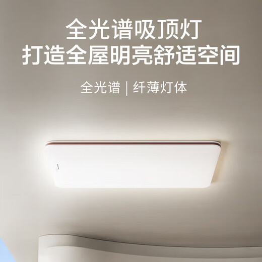 Panasonic Ceiling Lamp Full Spectrum Eye Protection 140W Three-level Color Adjustment Living Room Headlight National Subsidy Includes Installation