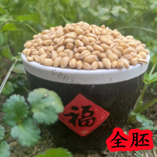 面粉新国标gbt1355-2021家用小麦粉中筋农家含胚芽通用 【新国标-精制粉】5斤(全胚)